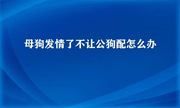 母狗发情了不让公狗配怎么办