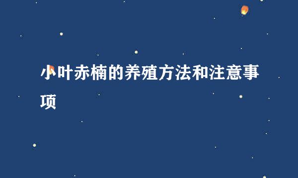 小叶赤楠的养殖方法和注意事项