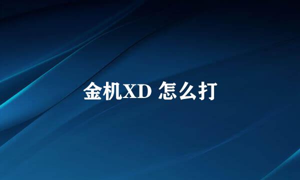 金机XD 怎么打
