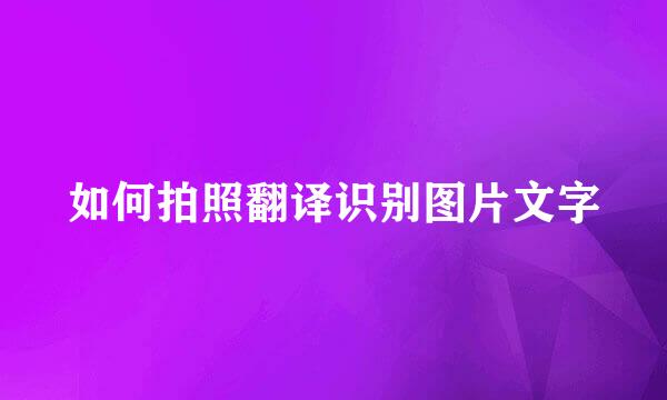 如何拍照翻译识别图片文字