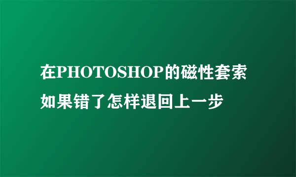 在PHOTOSHOP的磁性套索如果错了怎样退回上一步