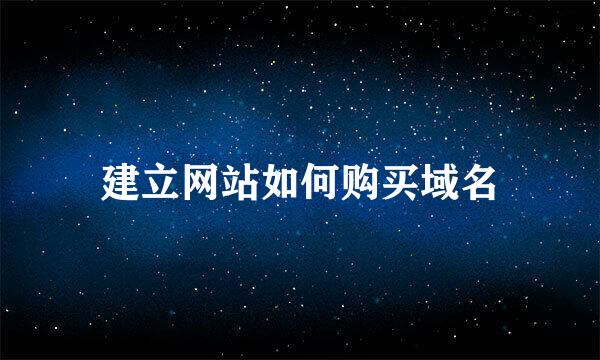 建立网站如何购买域名