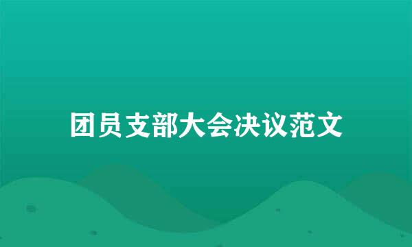 团员支部大会决议范文