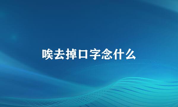 唉去掉口字念什么