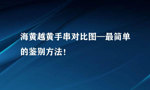 海黄越黄手串对比图—最简单的鉴别方法！
