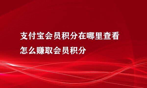 支付宝会员积分在哪里查看 怎么赚取会员积分