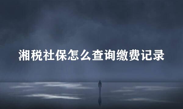 湘税社保怎么查询缴费记录