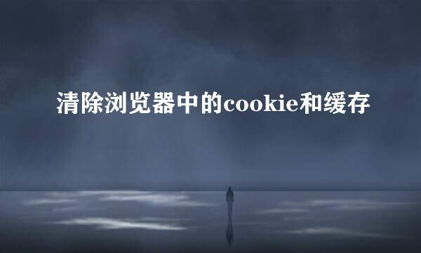清除浏览器中的cookie和缓存