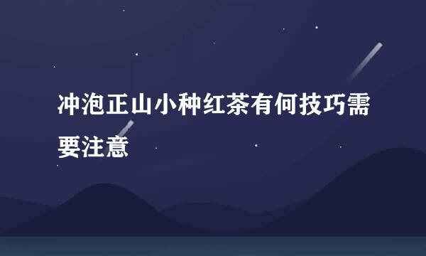 冲泡正山小种红茶有何技巧需要注意