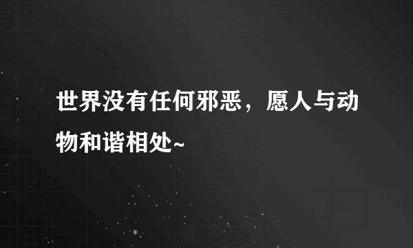 世界没有任何邪恶，愿人与动物和谐相处~