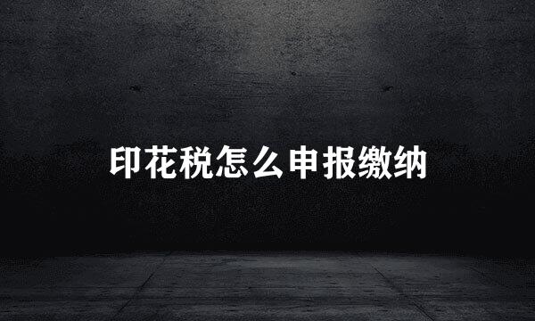 印花税怎么申报缴纳