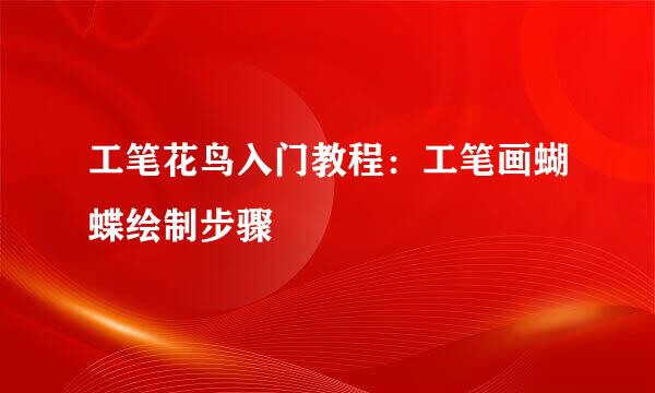 工笔花鸟入门教程：工笔画蝴蝶绘制步骤