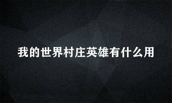 我的世界村庄英雄有什么用