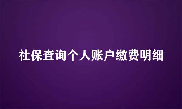 社保查询个人账户缴费明细