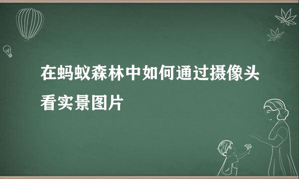 在蚂蚁森林中如何通过摄像头看实景图片