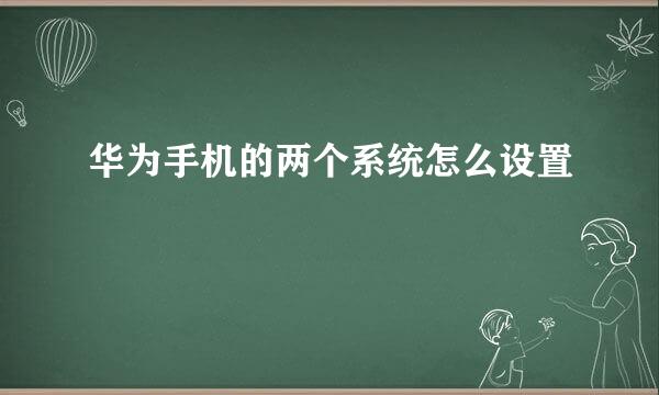 华为手机的两个系统怎么设置