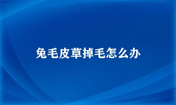兔毛皮草掉毛怎么办