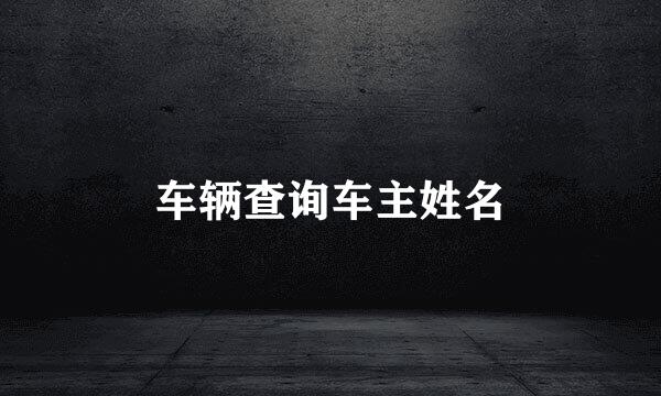 车辆查询车主姓名