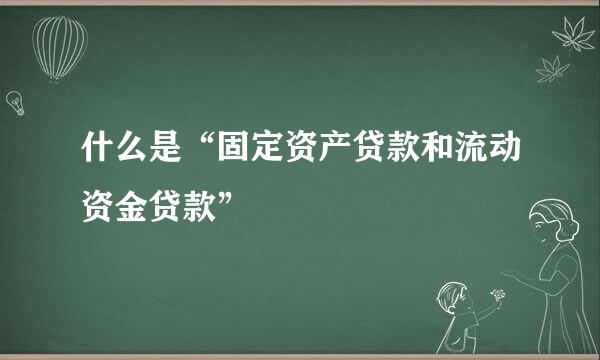 什么是“固定资产贷款和流动资金贷款”