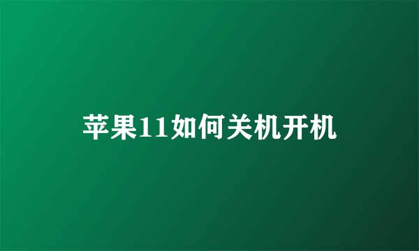 苹果11如何关机开机