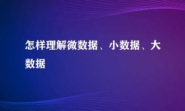 怎样理解微数据、小数据、大数据