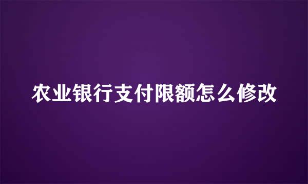 农业银行支付限额怎么修改