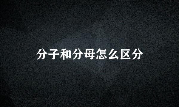 分子和分母怎么区分