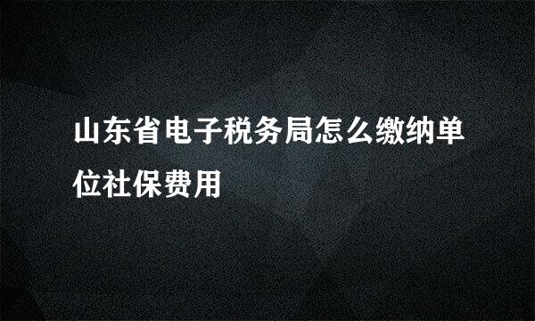 山东省电子税务局怎么缴纳单位社保费用