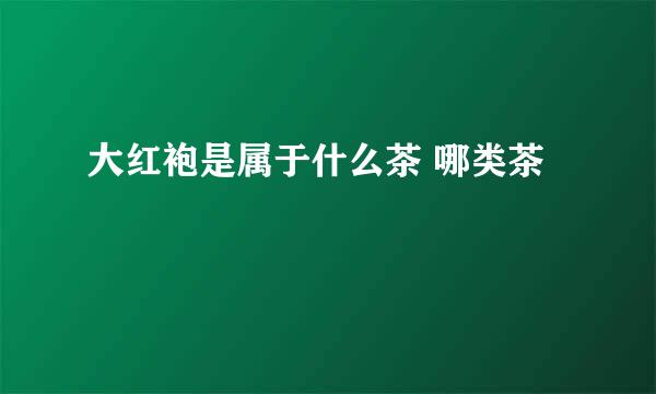 大红袍是属于什么茶 哪类茶