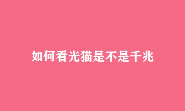 如何看光猫是不是千兆