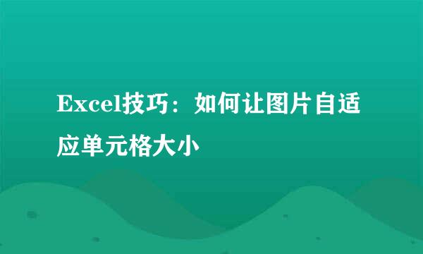 Excel技巧：如何让图片自适应单元格大小