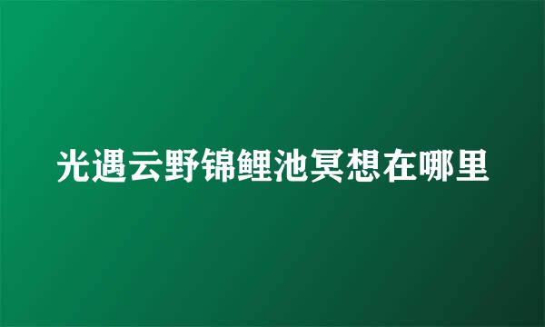光遇云野锦鲤池冥想在哪里