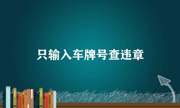 只输入车牌号查违章