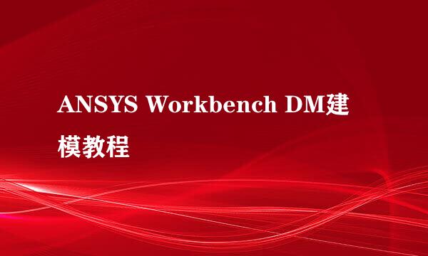 ANSYS Workbench DM建模教程