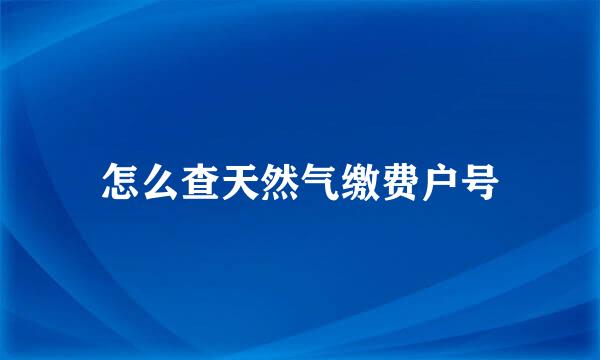 怎么查天然气缴费户号
