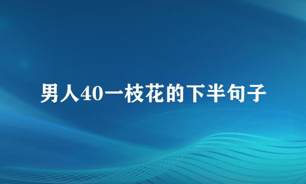 男人40一枝花的下半句子