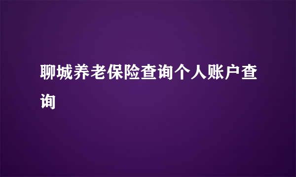 聊城养老保险查询个人账户查询