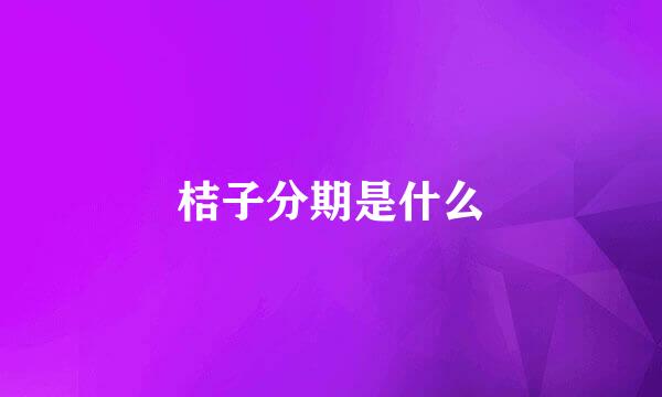 桔子分期是什么
