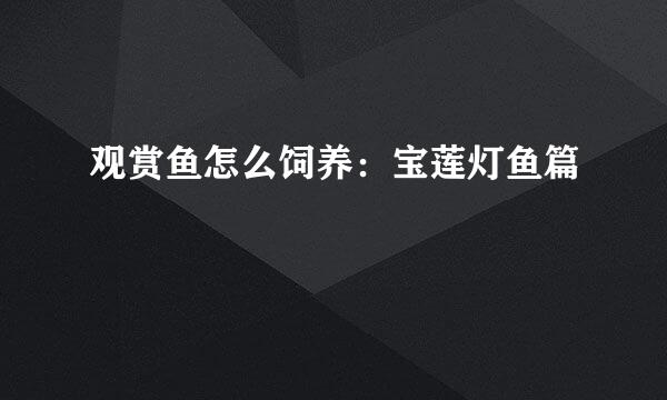 观赏鱼怎么饲养：宝莲灯鱼篇
