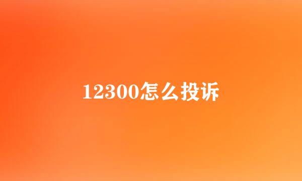 12300怎么投诉
