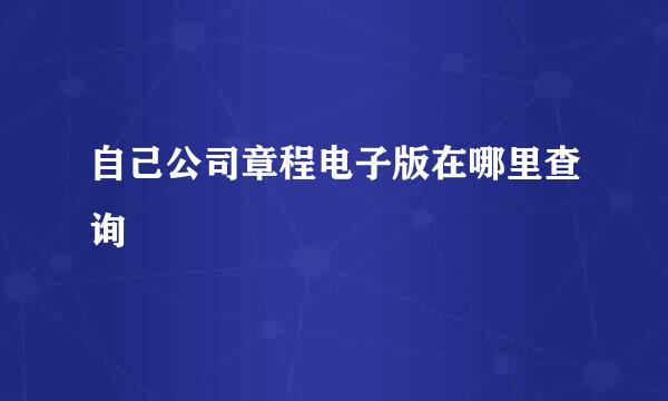 自己公司章程电子版在哪里查询