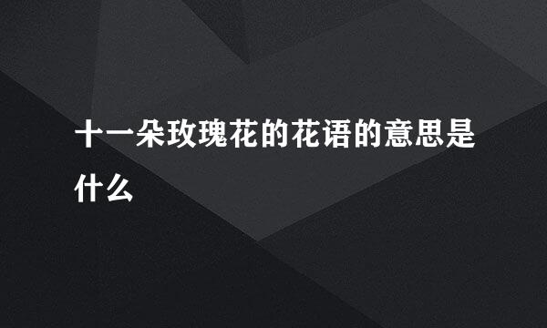 十一朵玫瑰花的花语的意思是什么