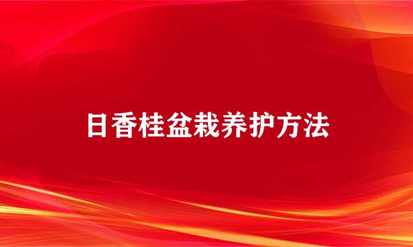 日香桂盆栽养护方法