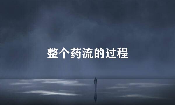 整个药流的过程