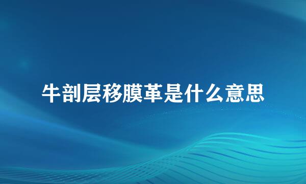 牛剖层移膜革是什么意思