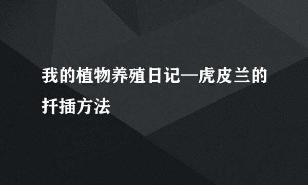 我的植物养殖日记—虎皮兰的扦插方法