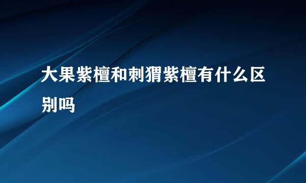 大果紫檀和刺猬紫檀有什么区别吗