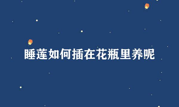 睡莲如何插在花瓶里养呢