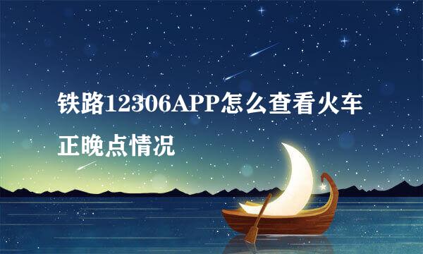 铁路12306APP怎么查看火车正晚点情况