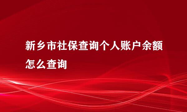 新乡市社保查询个人账户余额怎么查询